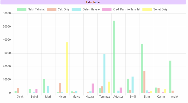 ödeme tahsilat raporu